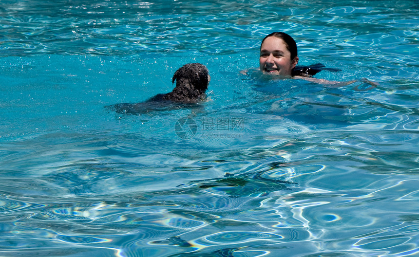 女童游泳的狗图片