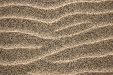 沙海滩背景图片