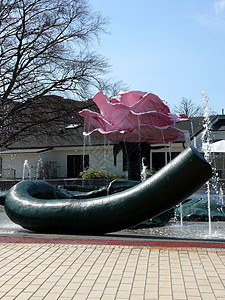 巨玫瑰幽默喷泉铭文公园感激新娘花朵淋浴花束乐趣背景图片