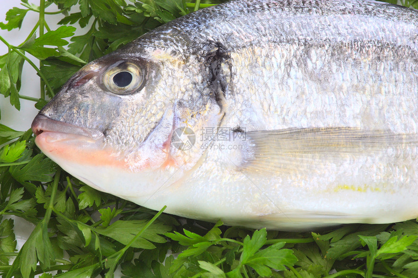 太平洋新鲜鱼背景记忆营养素荒野海鲜饮食热带黄色眼睛营养宏观图片