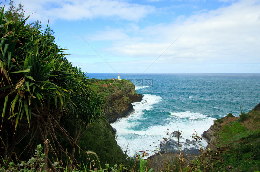 Kauai的Kilauea灯塔灯笼海岸天堂海湾海角水景地平线阳光假期风景图片