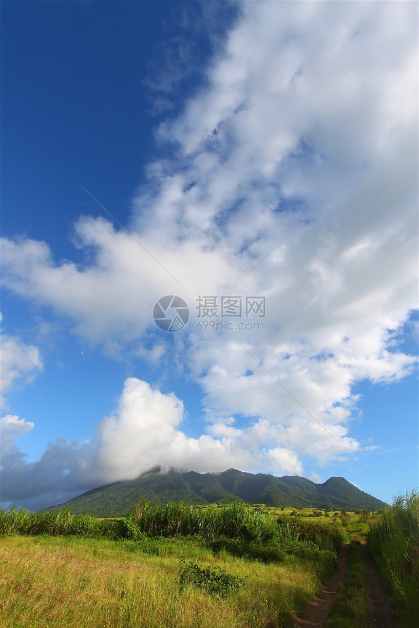 圣基茨的蒙塔利穆伊加生态甘蔗苦难叶子森林栖息地天空天堂场地农业图片