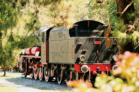 蒸汽机车树木运输火车青菜车站旅行平台太阳铁路背景图片