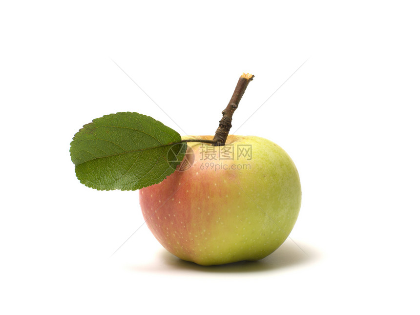 苹果植物宏观叶子木板红色食物原油收成团体营养图片