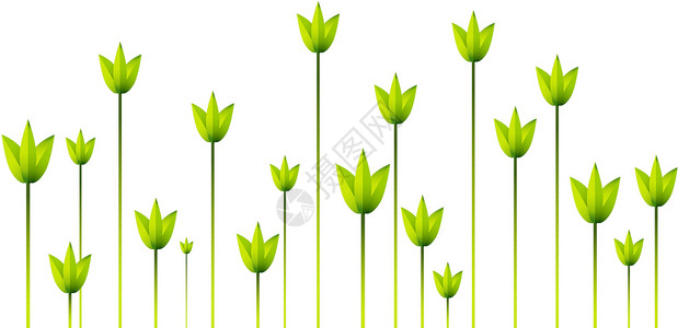 树叶绿色植物水平白色生长插图背景图片