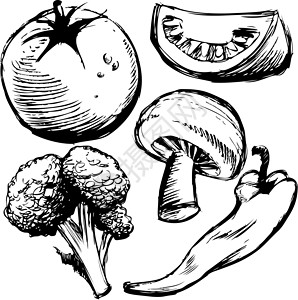 番茄菜花健康食品团体草图黑色插图胡椒绘画铅笔白色辣椒食物设计图片