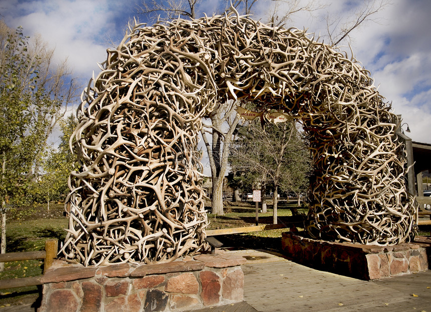 埃尔克保留地的鹿角堆积兽骨棕色喇叭图片
