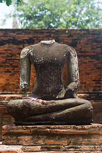 泰国Ayuttaya的佛头形象背景图片