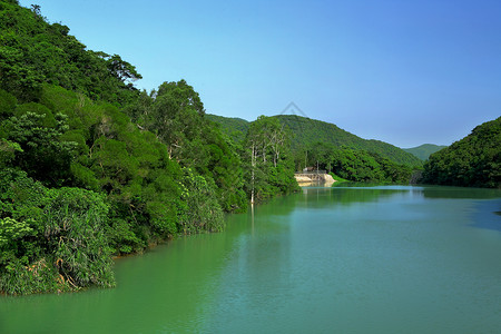 湖蓝色旅行阳光风景木头森林反射旅游天空地平线高清图片