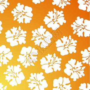 Hibiscus 模式热带橙子黄色木槿花朵墙纸插图植物背景图片