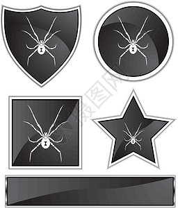蜘蛛昆虫黑色动物插图按钮白色艺术网络漏洞寡妇背景图片