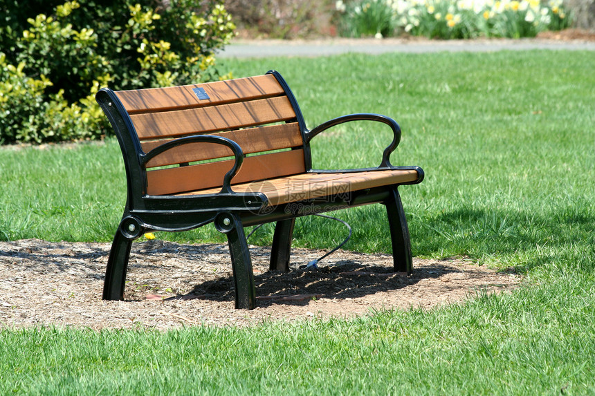 公园的木板凳花园休息树木椅子绿色座位木头图片