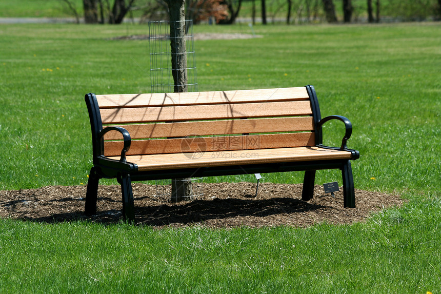公园的木板凳绿色休息花园座位木头树木椅子图片
