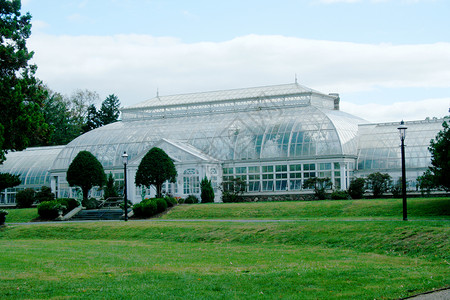 温室玻璃生长绿色植物花园花朵环境苗圃环境保护园艺背景图片