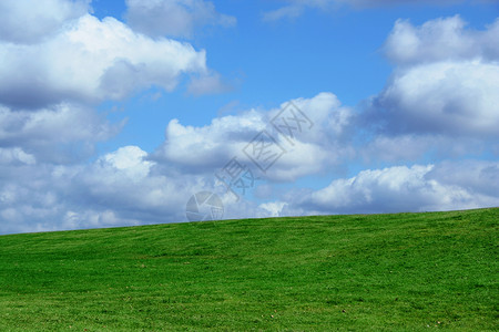 田地和多云的天空绿色乡村田园蓝色农村美化风光植物草地背景图片