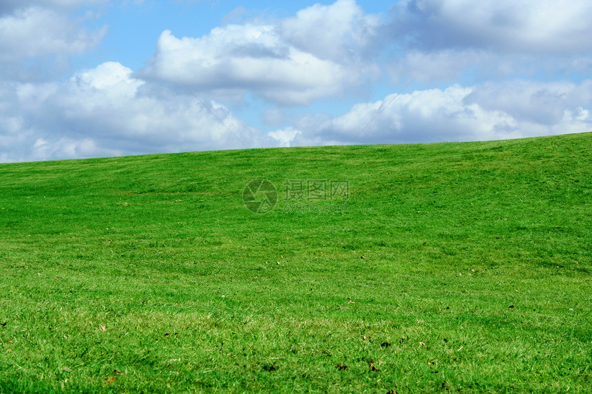 田地和多云的天空美化植物绿色田园乡村风光草地蓝色农村图片