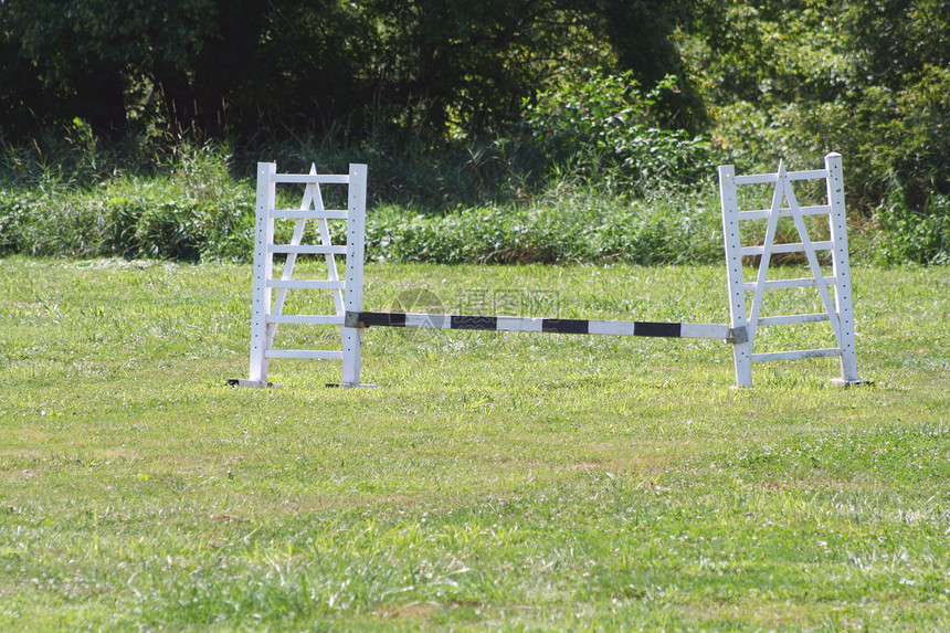 马跳跃棕色运动栅栏竞赛动物障碍竞技马术女孩们女性图片