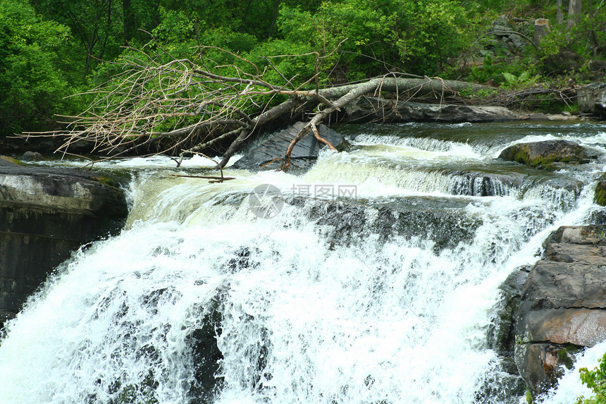 瀑布石头风景流动公园热带溪流绿色岩石树木苔藓图片