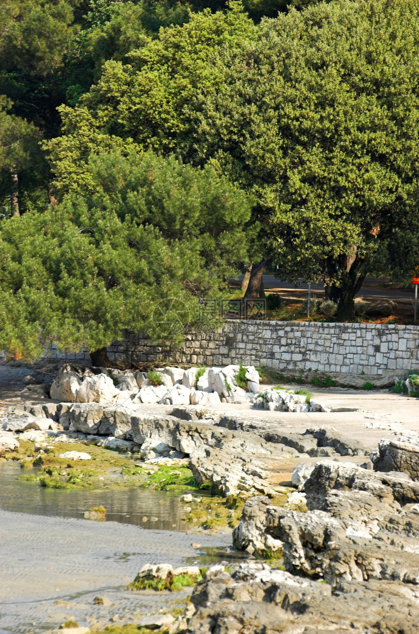 岸边全景支撑环境海岸树木蓝色风景海洋岩石图片