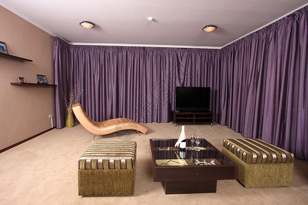 内部的花瓶皮革地毯房子生活风格房间电视家具扶手椅背景图片