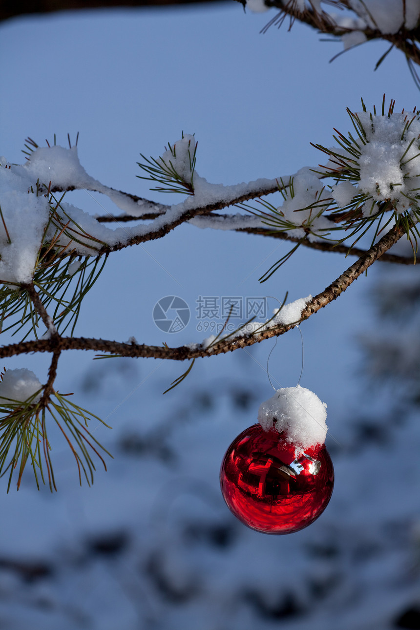 户外红色圣诞节丝带装饰品云杉反射活力白色雪花图片