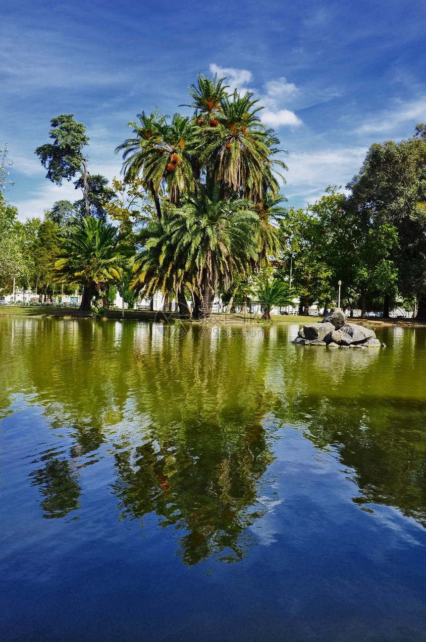 湖边棕榈树草地树叶娱乐棕榈草药天空灌木喷泉花园公园图片