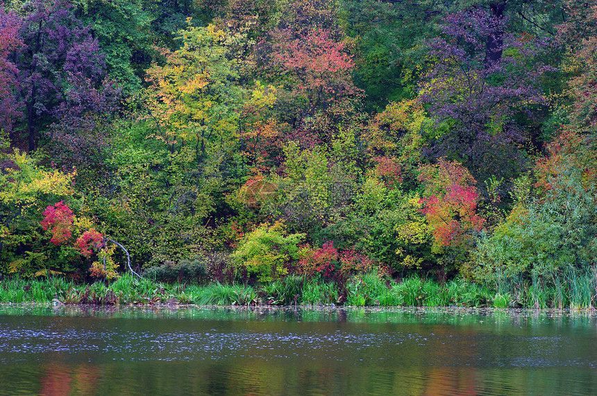 秋天在湖边 美丽的风景图片