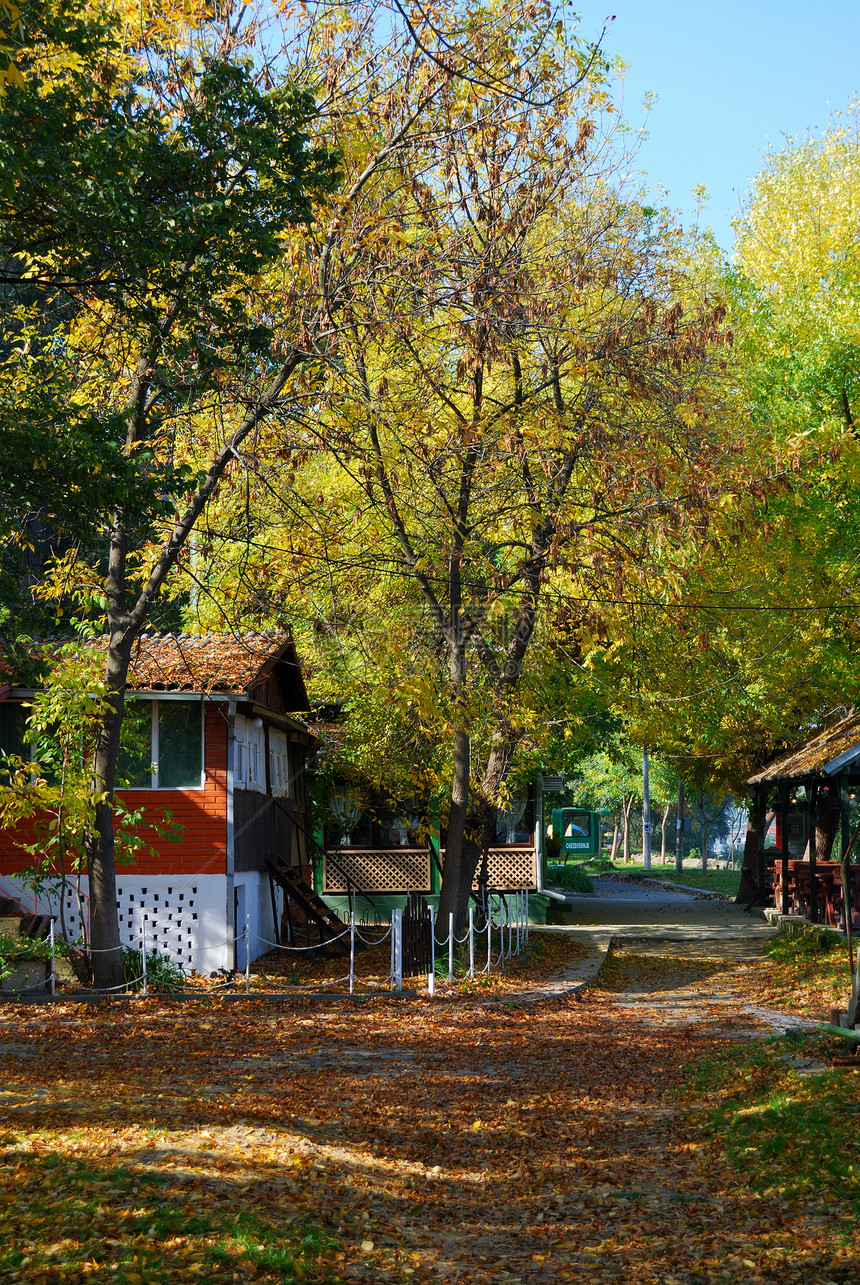秋季在村里场景天空季节房子国家乡村村庄木头农村树叶图片
