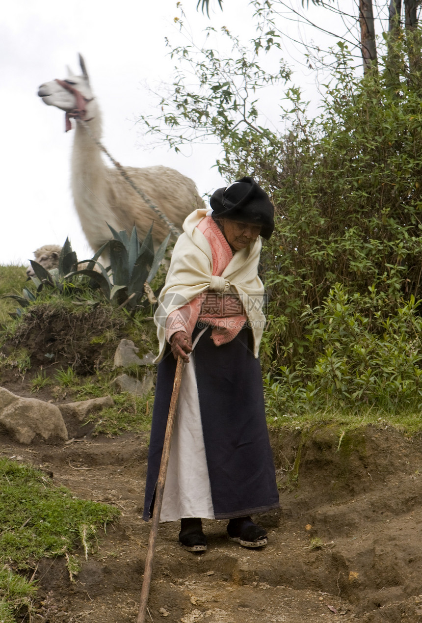 老年妇女拉拉拉拉拉拉下山的厄瓜多尔图片