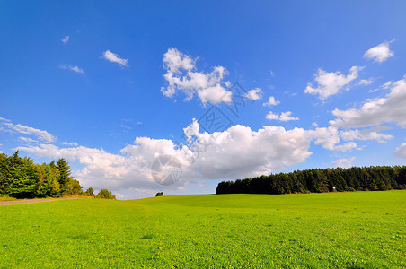 夏季末的田地乡村野花场地农业生长蓝天草地高清图片