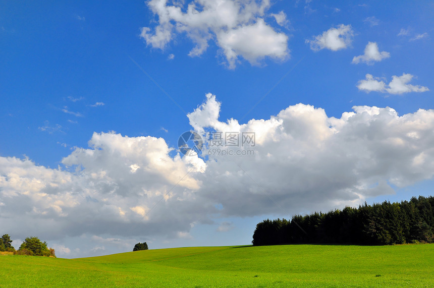 夏季末的田地生长场地农业蓝天草地野花乡村图片