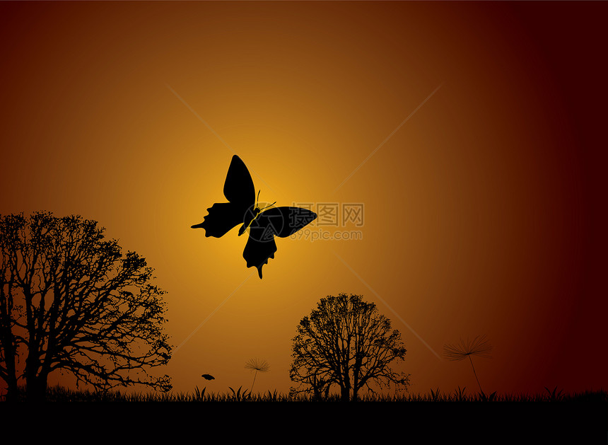 日落自然蝴蝶图片
