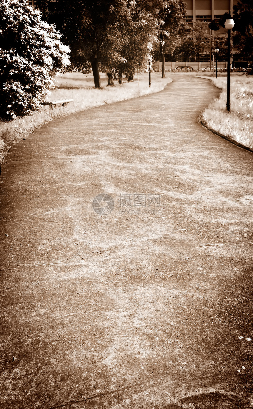 在公园中的方式小路旅行景观叶子城市住宅曲线花园车道胡同图片