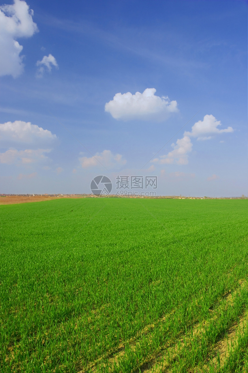 外地土地国家地平线培育食物生活晴天农场耕作平原图片