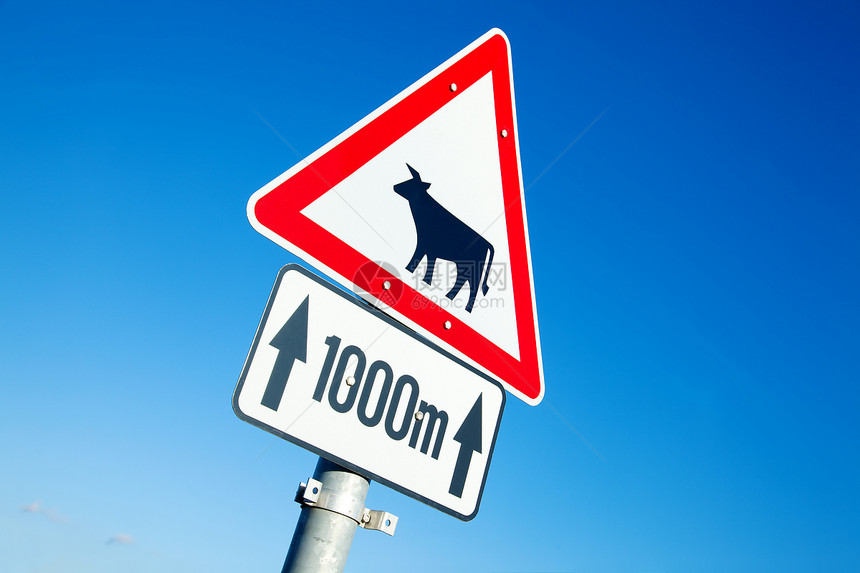 乳牛标志乡村危险怀抱农业警告国家交通家畜农村奶牛图片