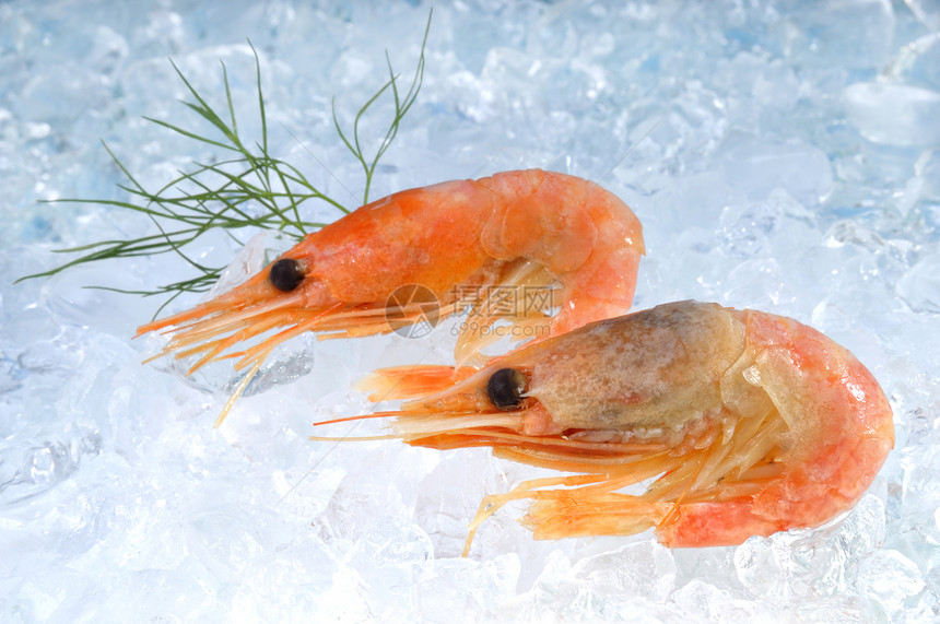 冲刷对虾烹饪异国奢华情调食物贝类美食动物甲壳图片