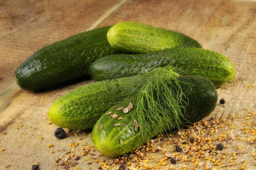 吉尔金食物绿色蔬菜黄瓜香料烹饪灌封厨房图片