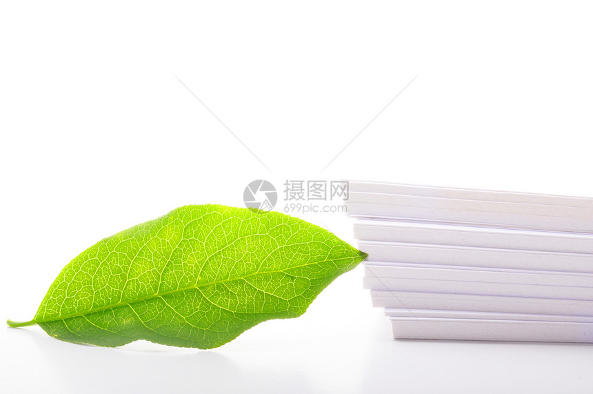 纸张笔记问候语笔记纸环境温泉绿色雏菊卡片树叶叶子图片
