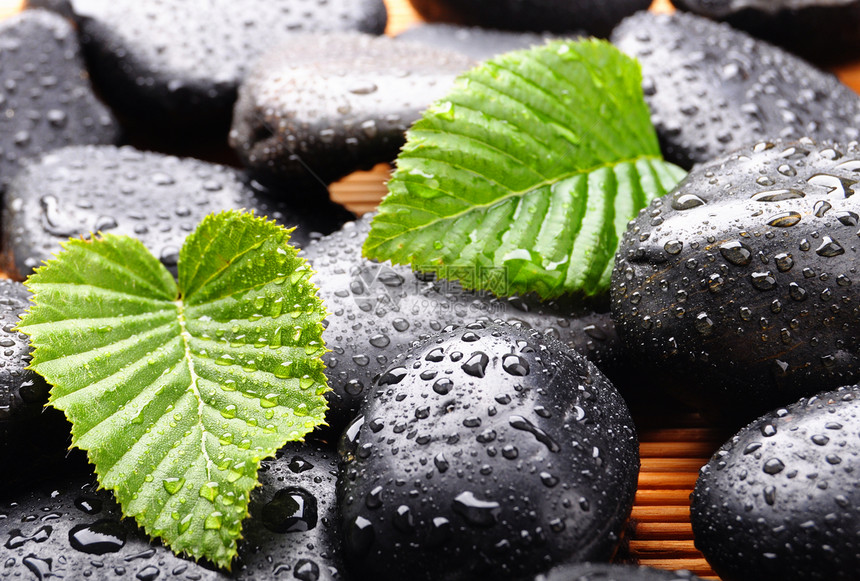 石或锅石环境按摩卵石生态药品鹅卵石石头绿色树叶下雨图片