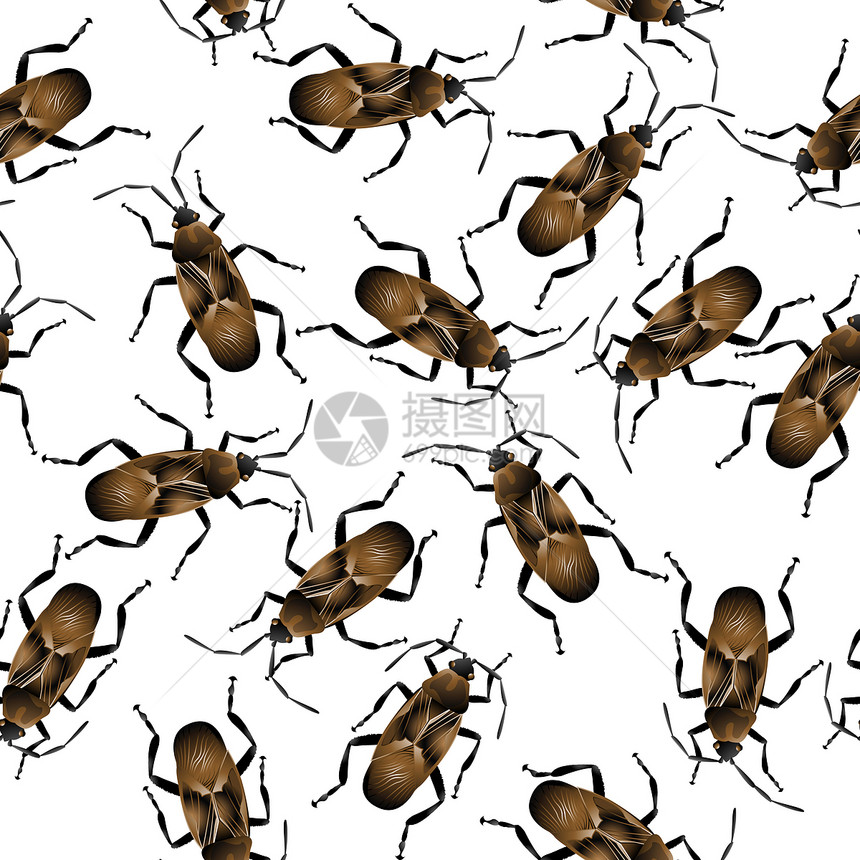 蟑螂棕色昆虫团体插图害虫厌恶刺激翅膀天线墙纸图片
