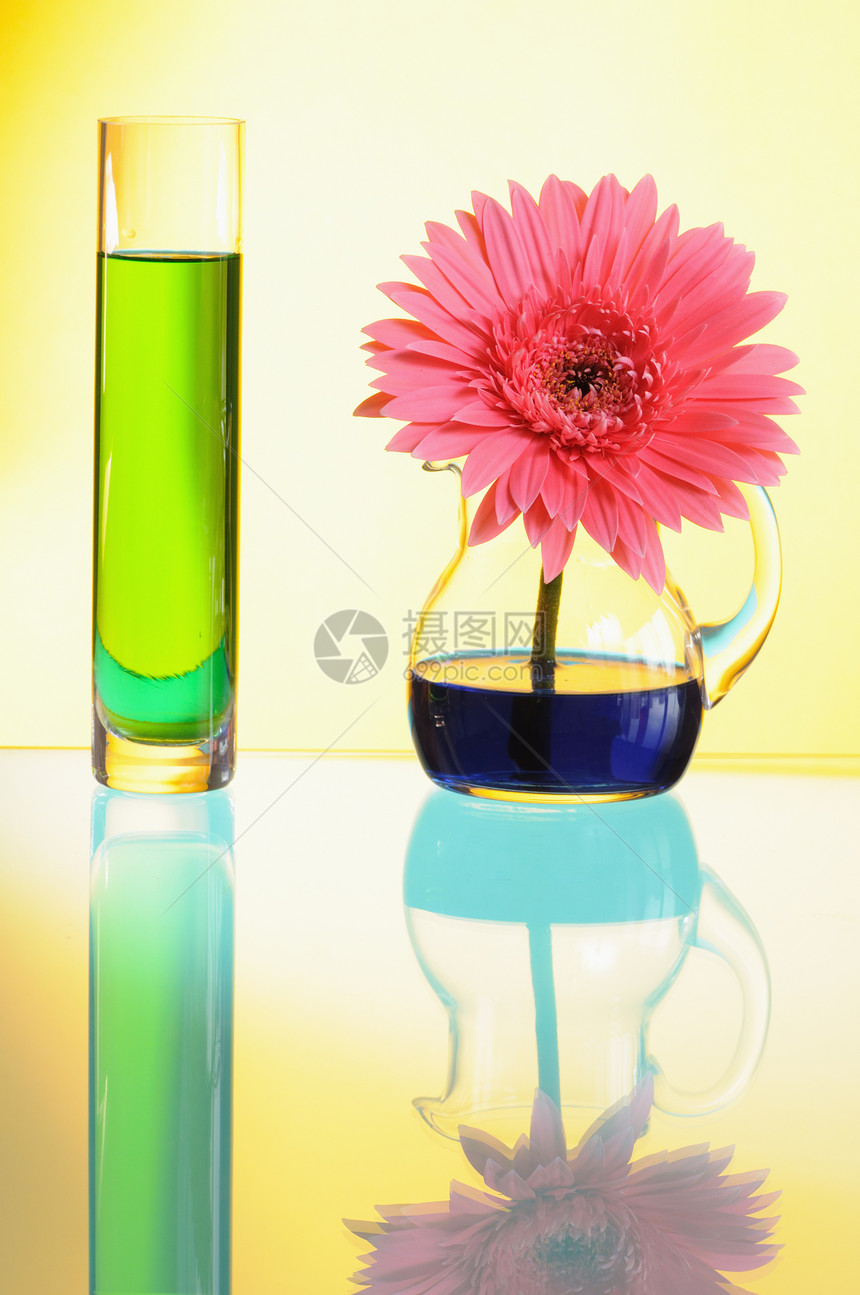 黄斑绿色礼物水平花瓶雏菊花瓣粉色宏观植物玻璃图片