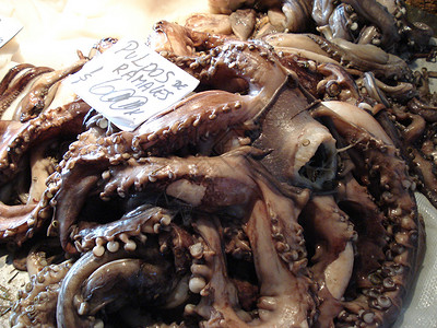 智利市场海鲜食物旅行章鱼背景图片