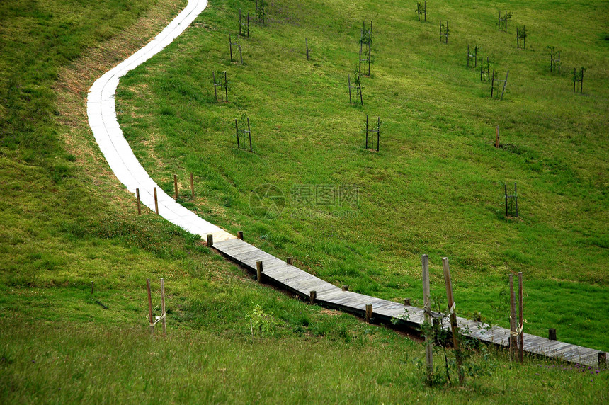 葡萄园国家场景小路乡村途径藤蔓远足路面树木公园图片