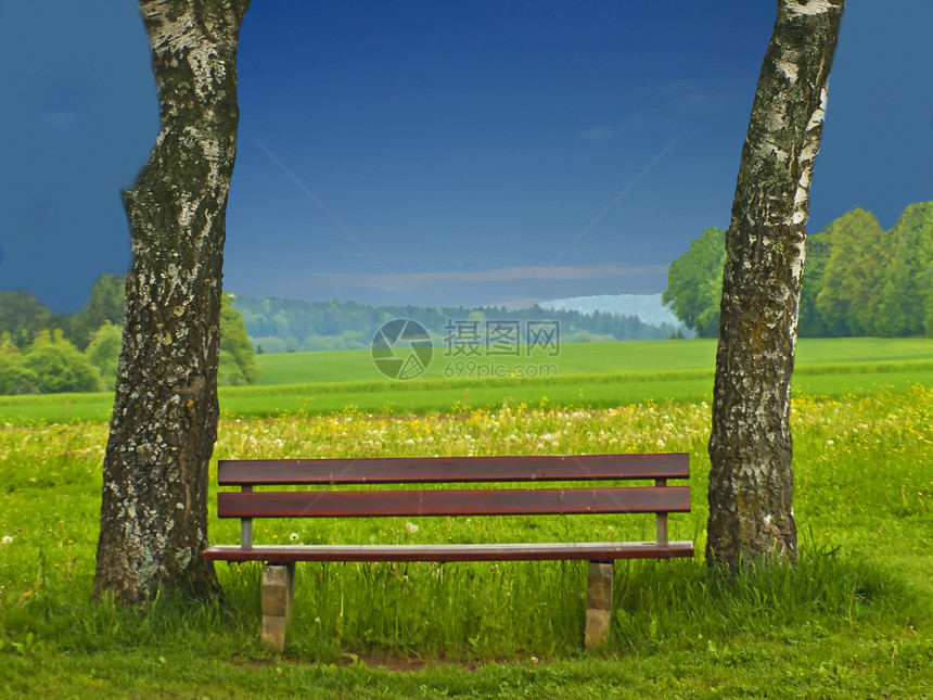 公园长板森林手表绿色退休座位牧歌长椅图片