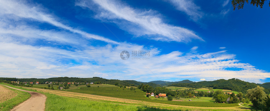 平面景观远景季节花朵国家太阳环境蓝色场景天空场地图片