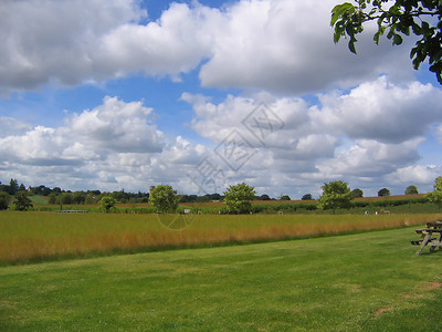 英英语草地蓝天天空场地农场树木背景图片