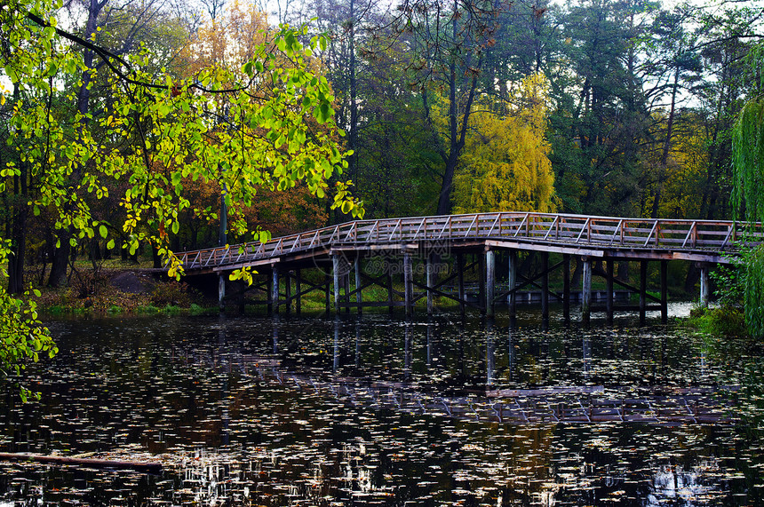 秋天公园的木林桥图片