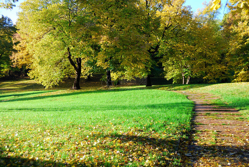 秋季上午季节叶子边缘框架乡村农村天气树木风景草地图片