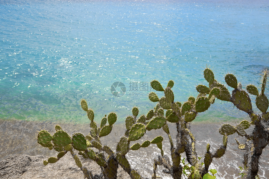 库拉索蓝色海洋潜水游泳白色海滩天空假期热带风景图片