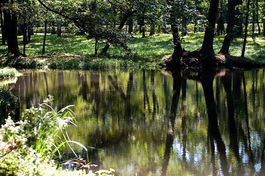 性质id基对称树木荒野反射环境公园池塘全景风景场景图片